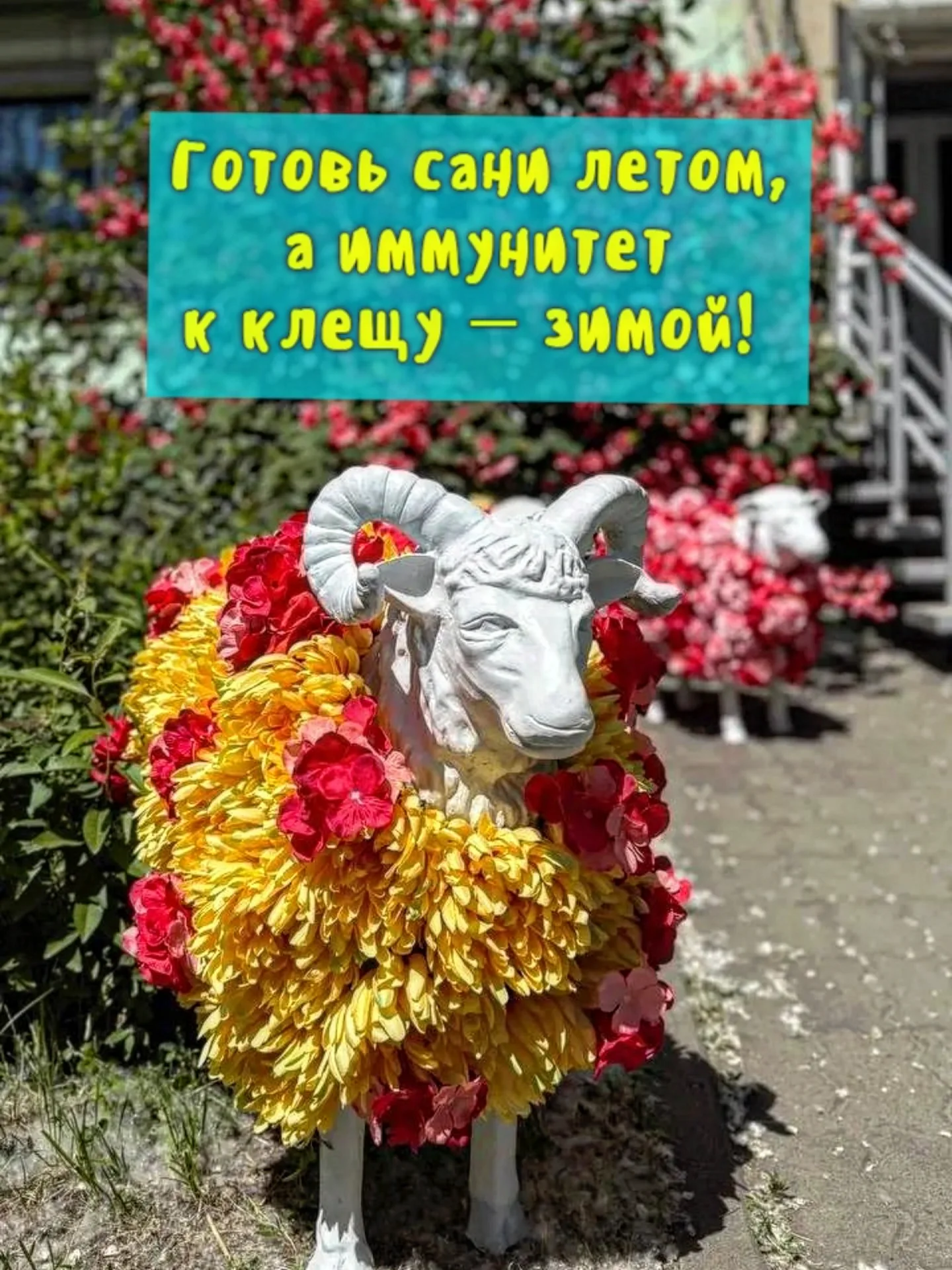 Информация о вакцинации детей от клещевого энцефалита